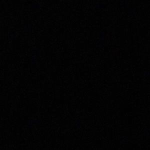 Meet your Posher, Sydni